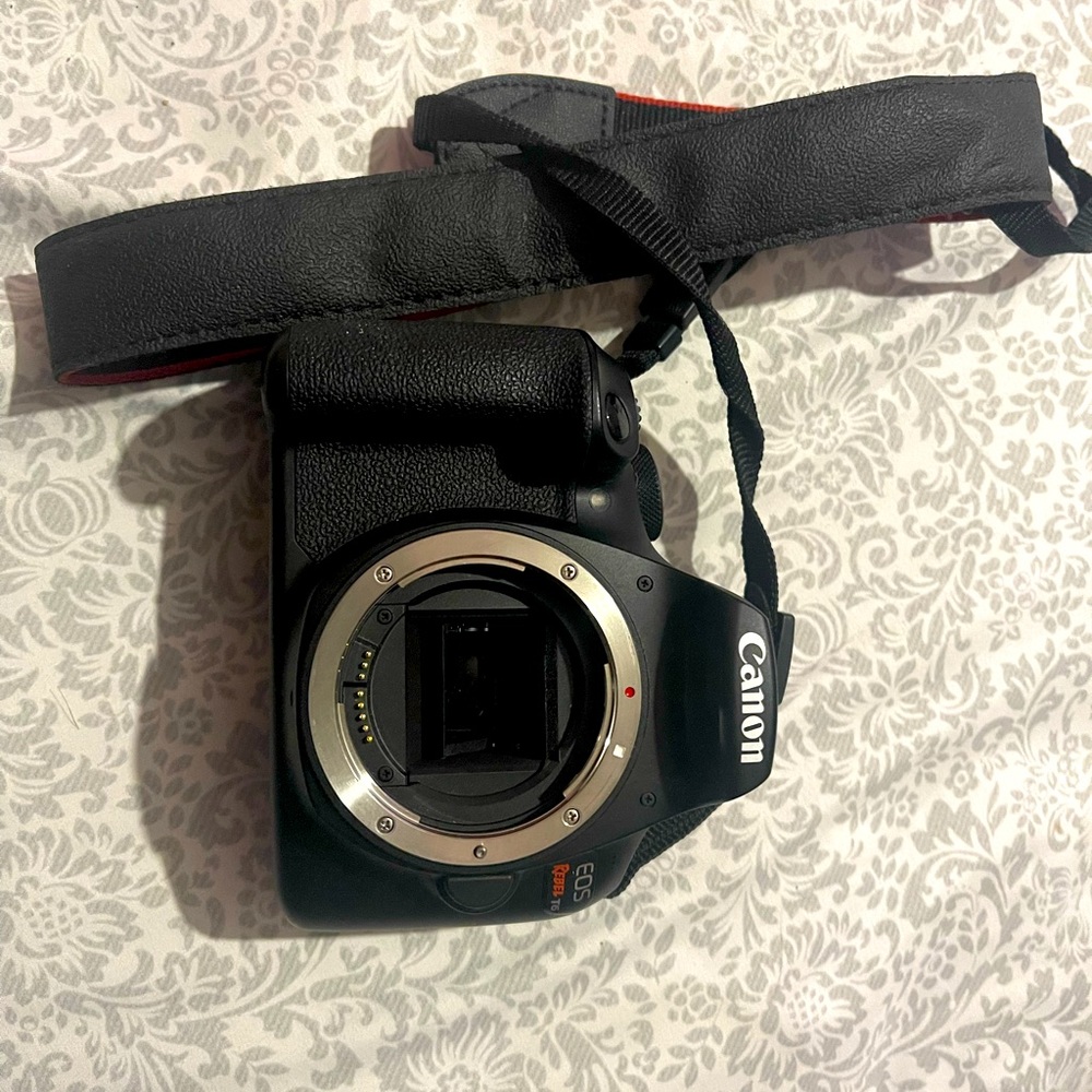 Canon Eos Rebel T6 With a Canon EF 75-300mm f/4-5.6 III USM Lens.